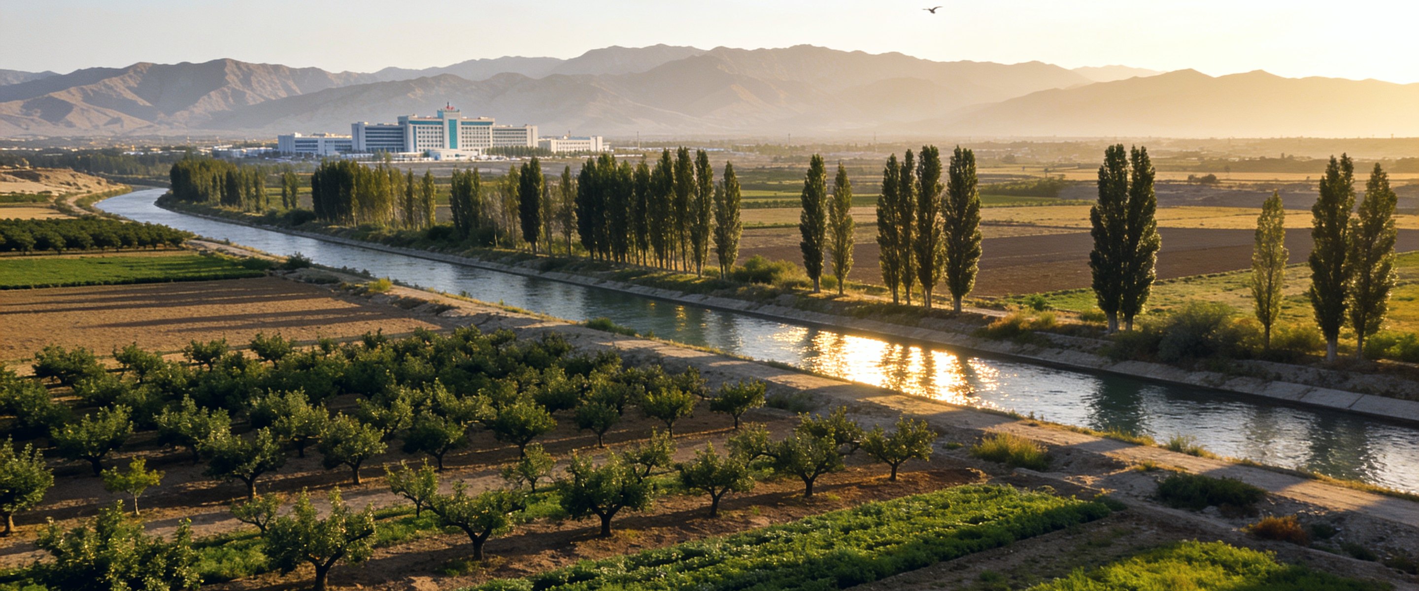 The Fergana valley — irrigation canal, orchards and fields — with the hospital on the horizon